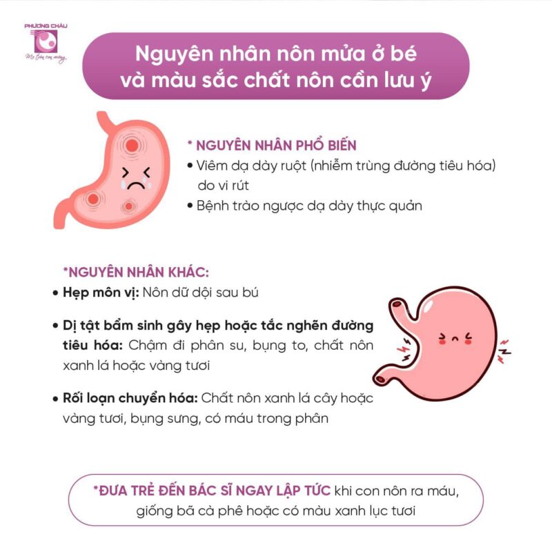 Màu sắc nước tiểu của con biểu hiện điều gì